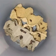 Αποξηραμένα γρύλους για πουλιά